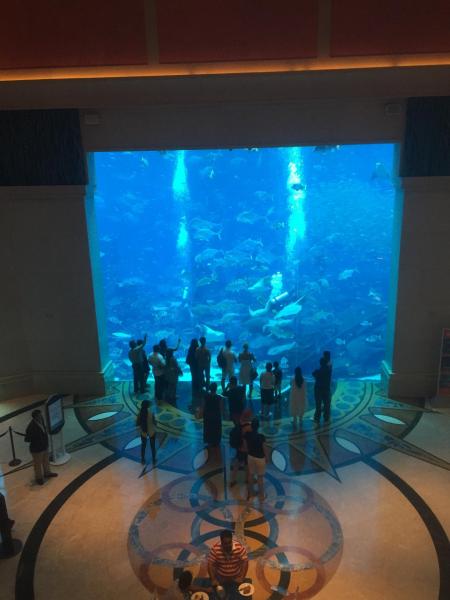 Atlantis the Palm aquarium