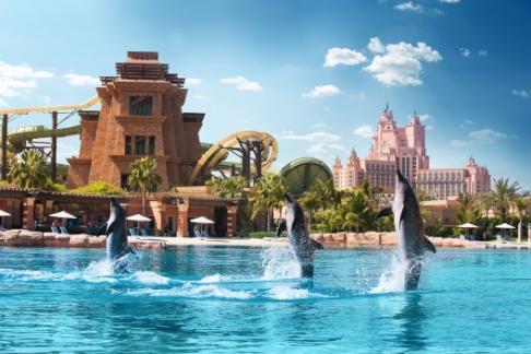 Dolphin bay à Atlantis the Palm