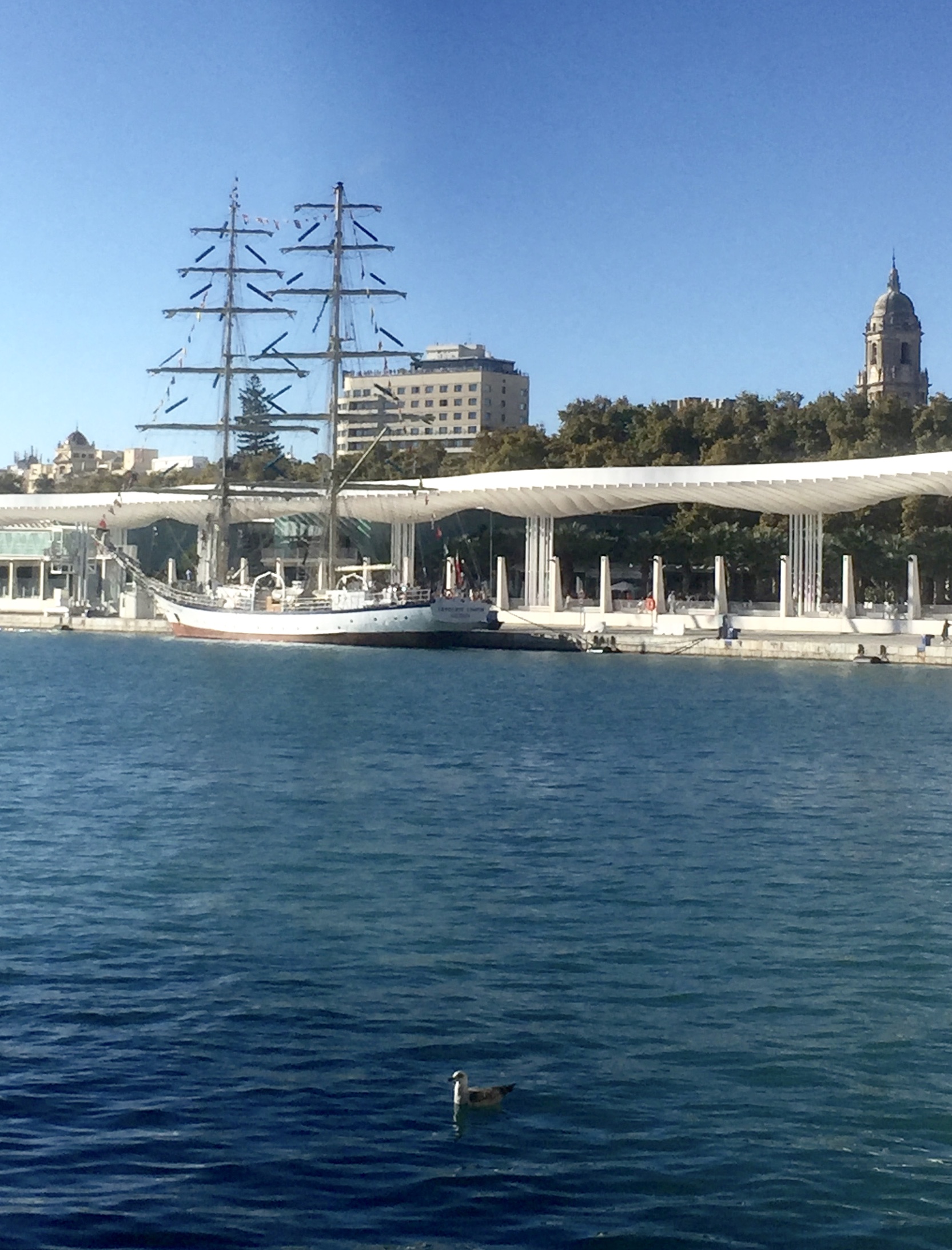 Le port de Malaga