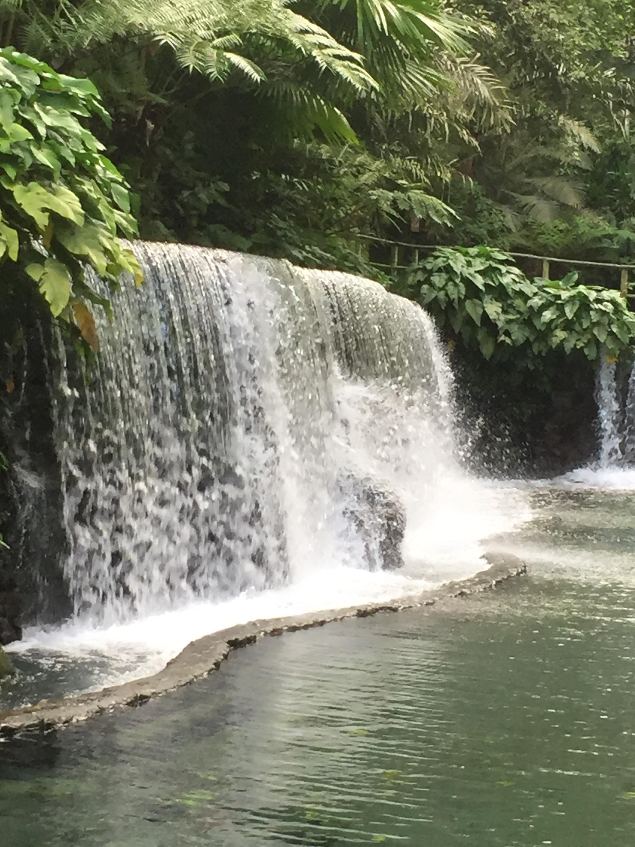 Bato Springs - Laguna