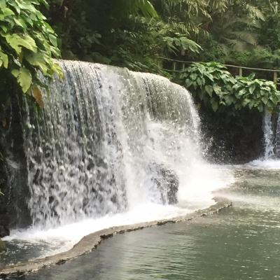 Bato Springs - Laguna (Philippines)