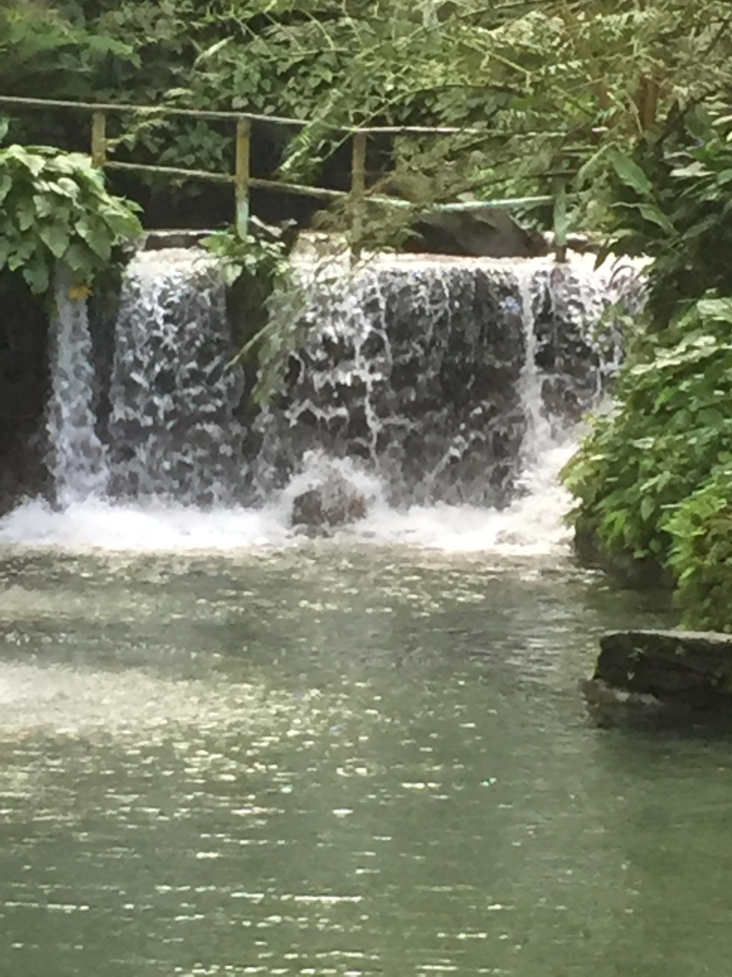 Cascades à Bato Springs