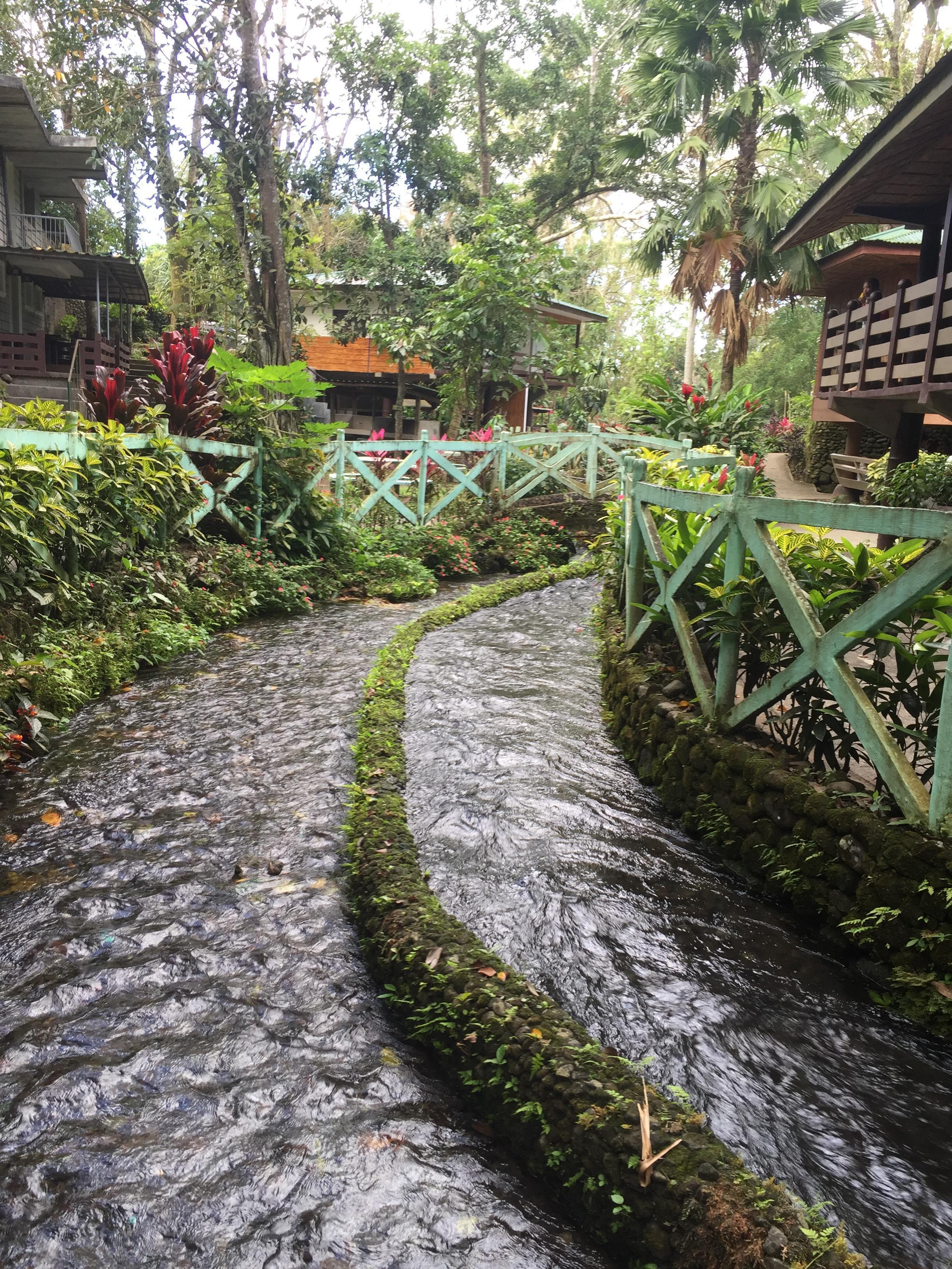 Bato Springs, la rivière