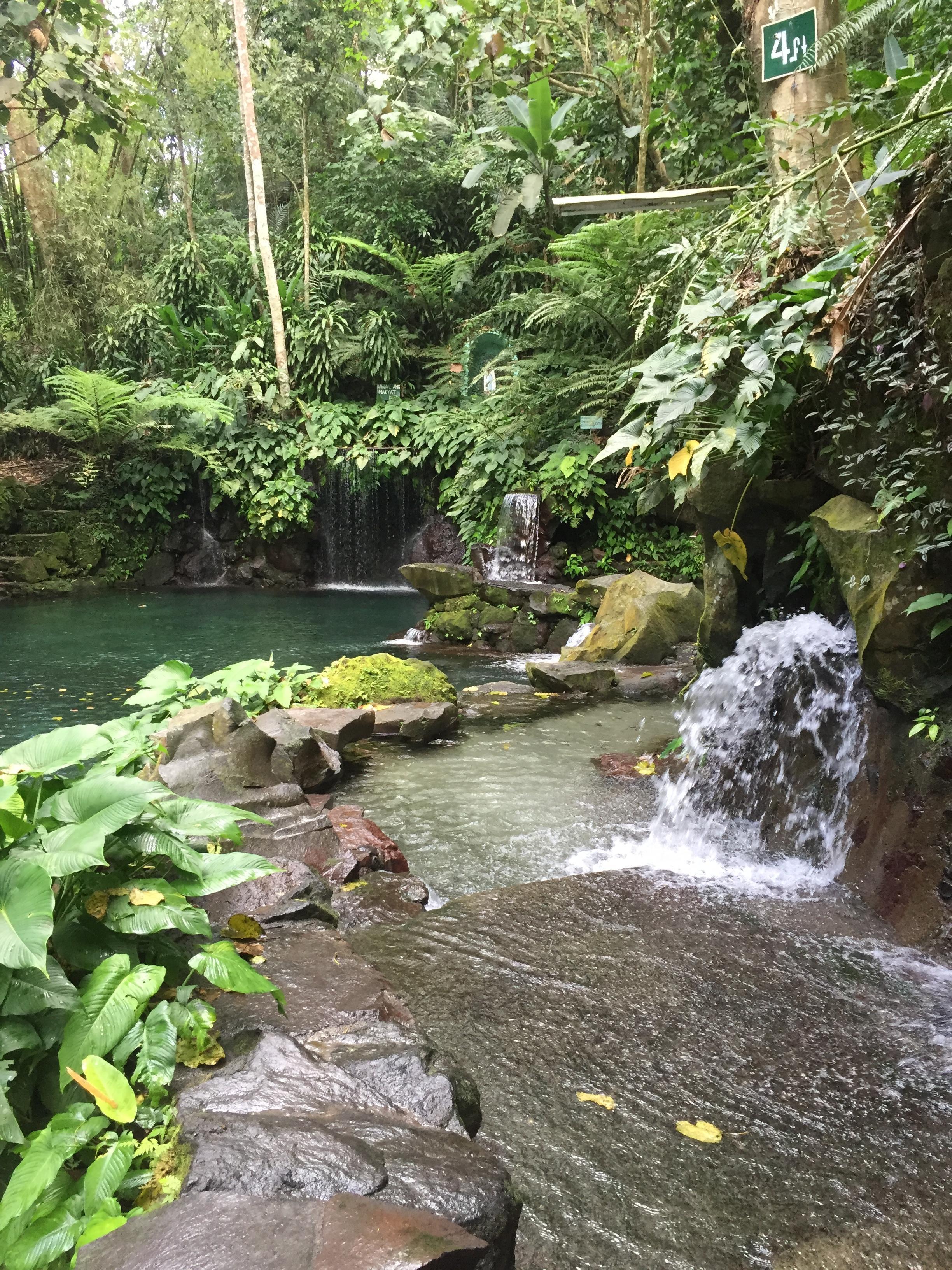 Bato Springs - Laguna