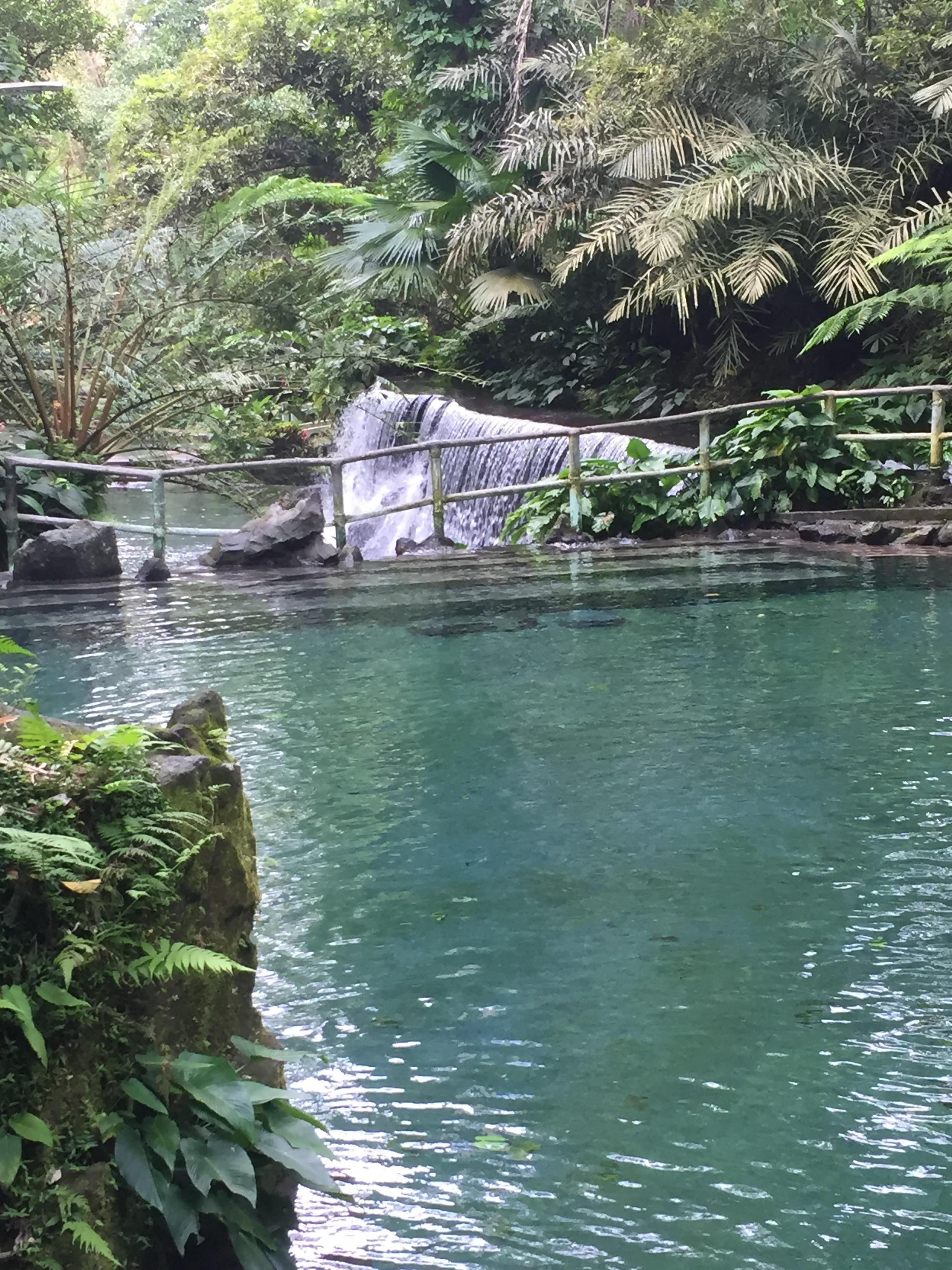 Bato Springs - Laguna