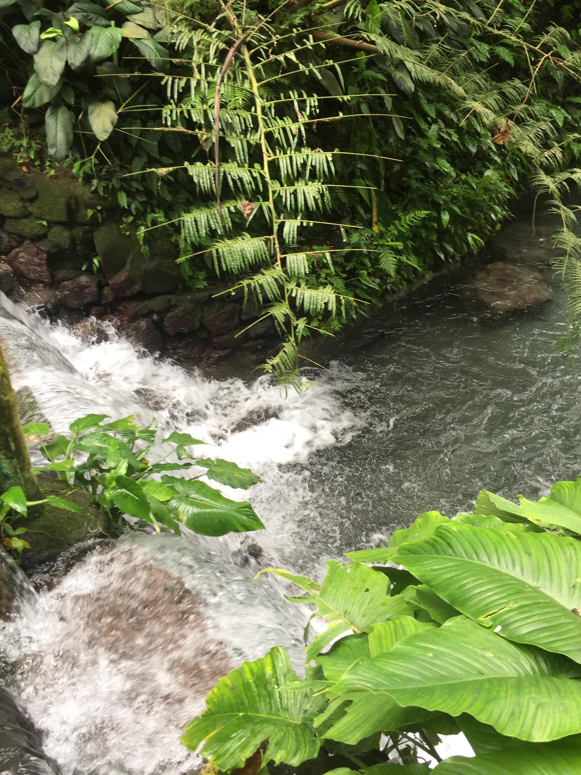 Bato Springs, la rivière