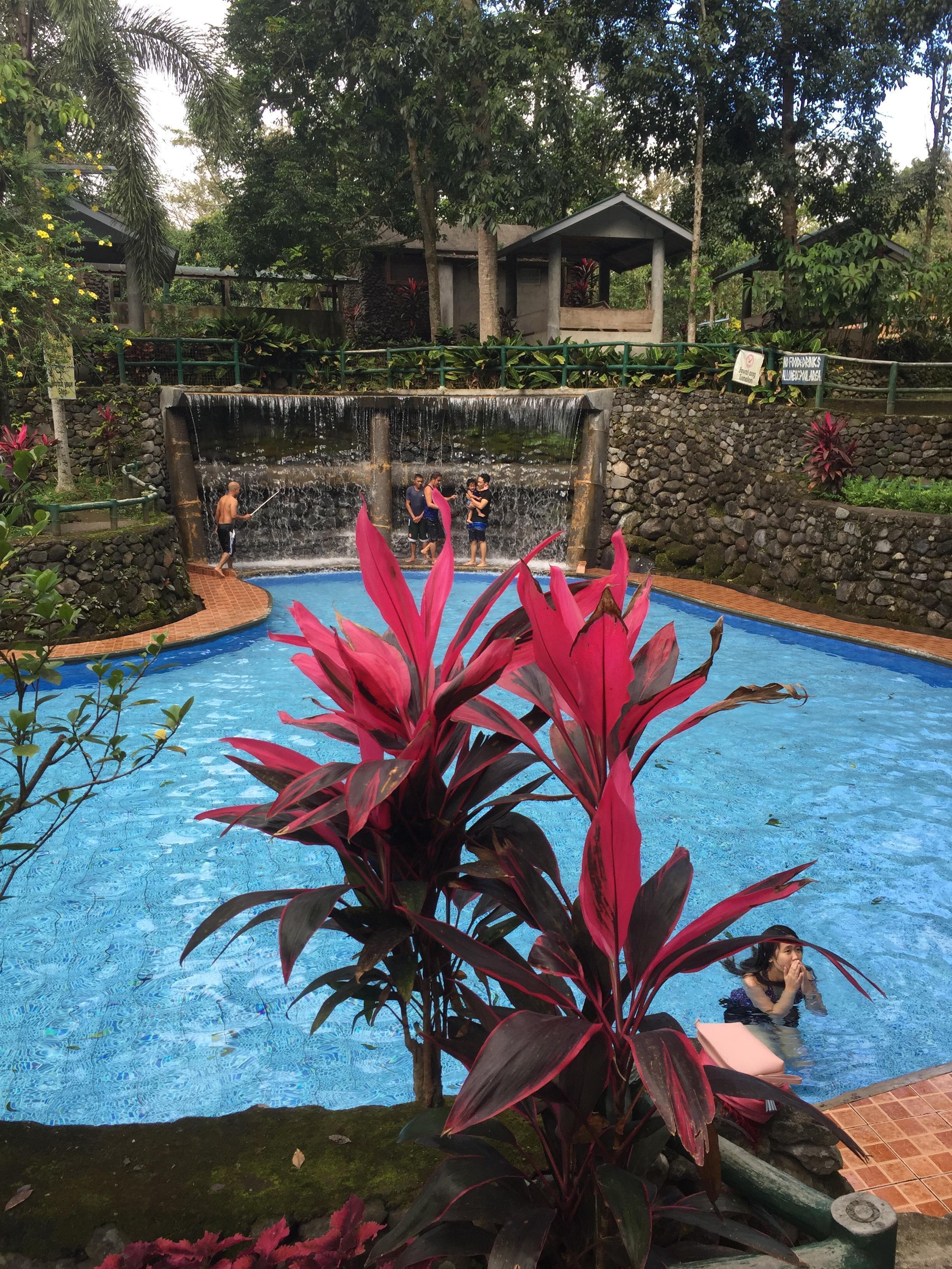 Bato Springs, la piscine