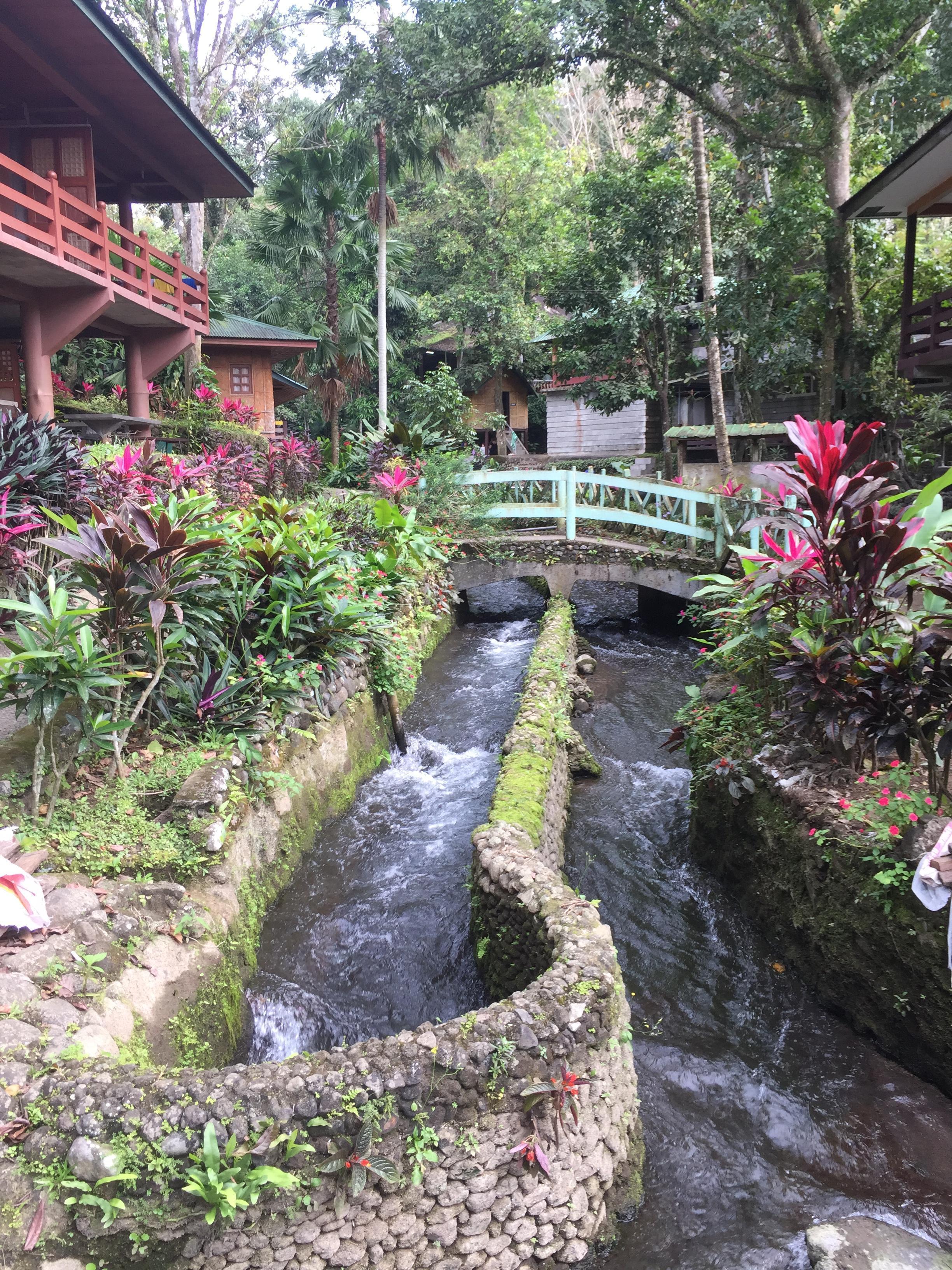 Bato Springs - Laguna