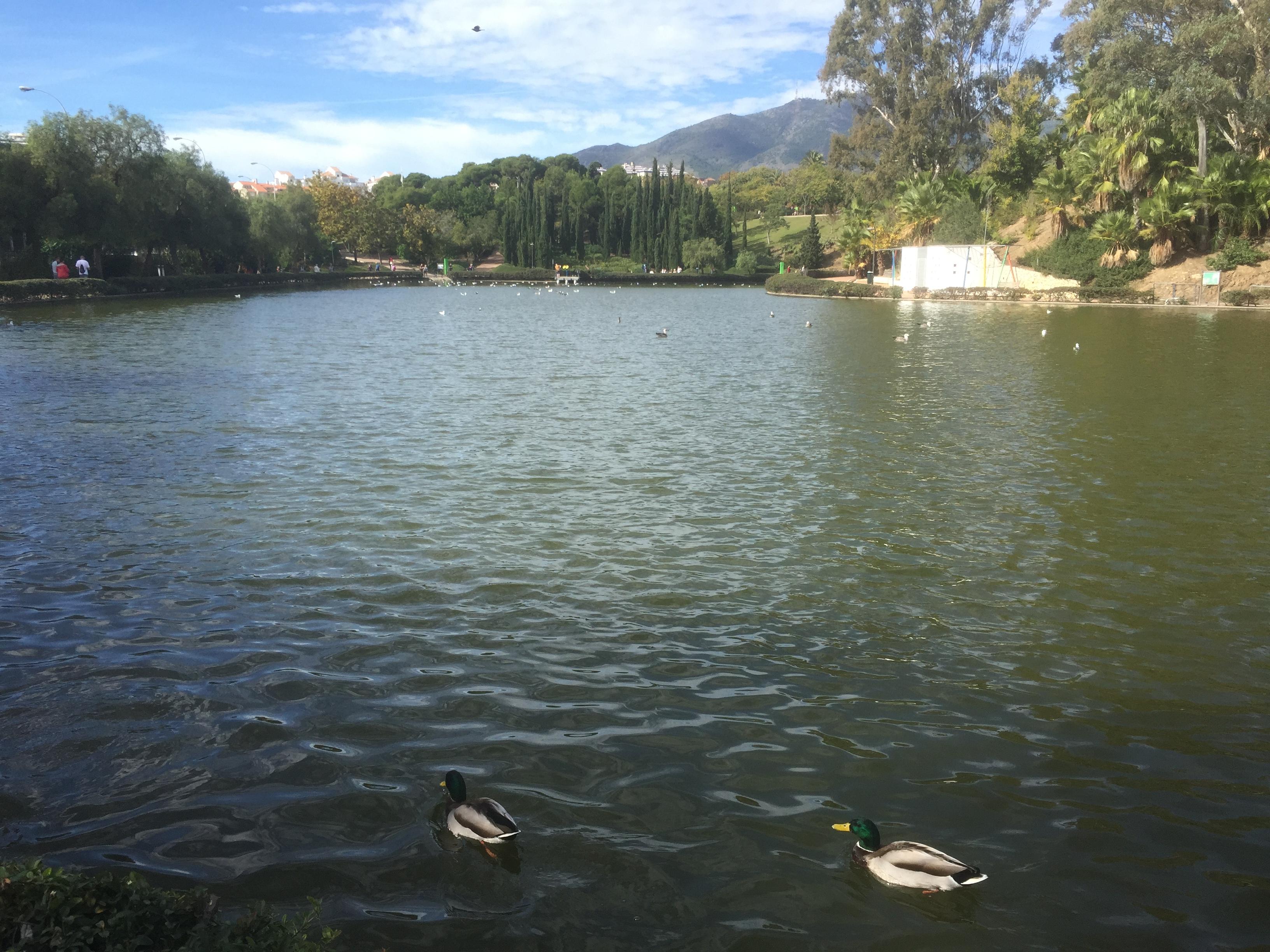 Espace vert à Benalmadena, le lac