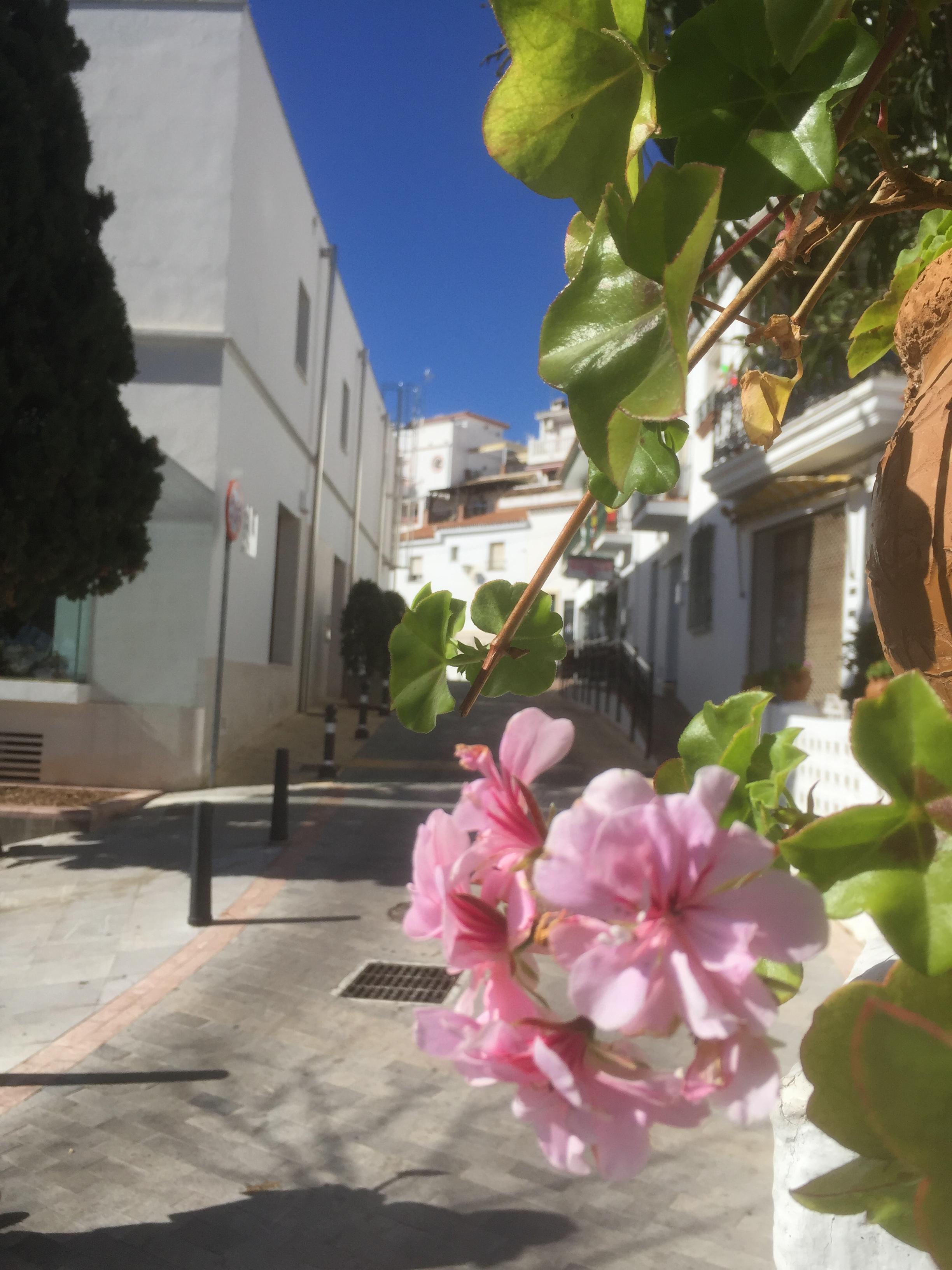 Maisons andalouses à Benalmadena Pueblo