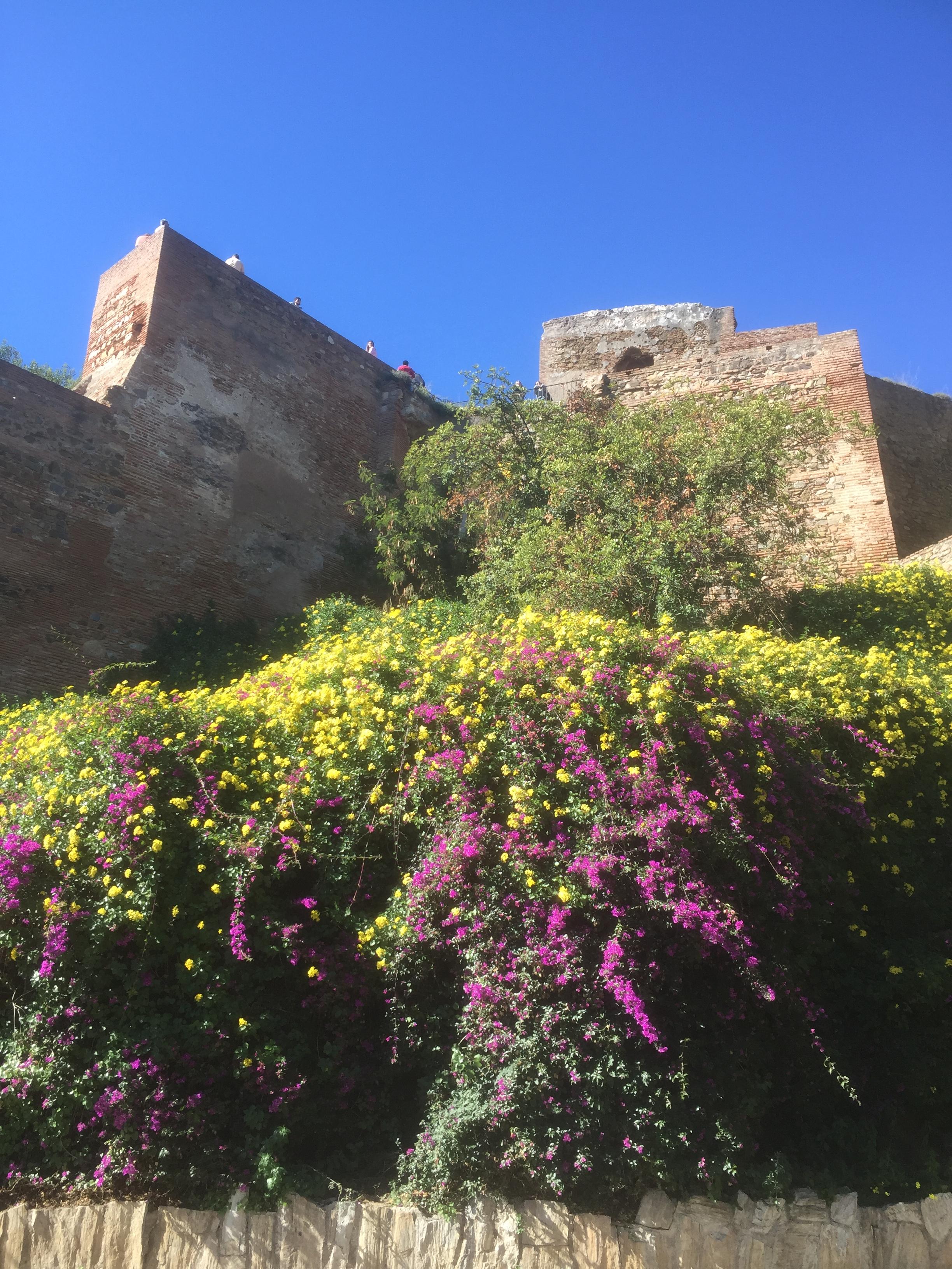 Vue sur la forteresse