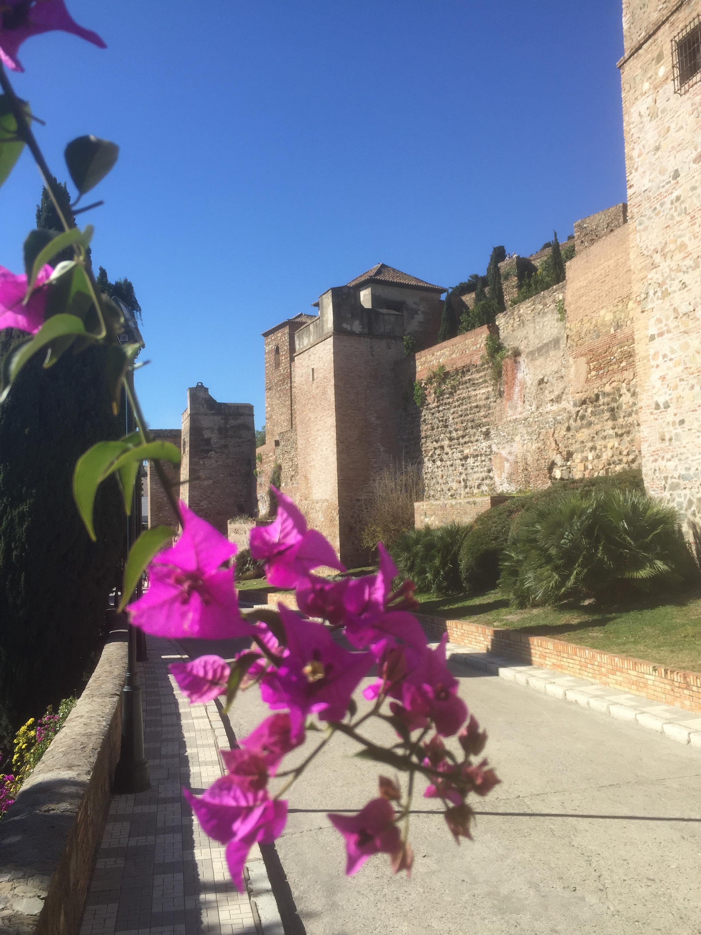 La forteresse d'Alcazaba