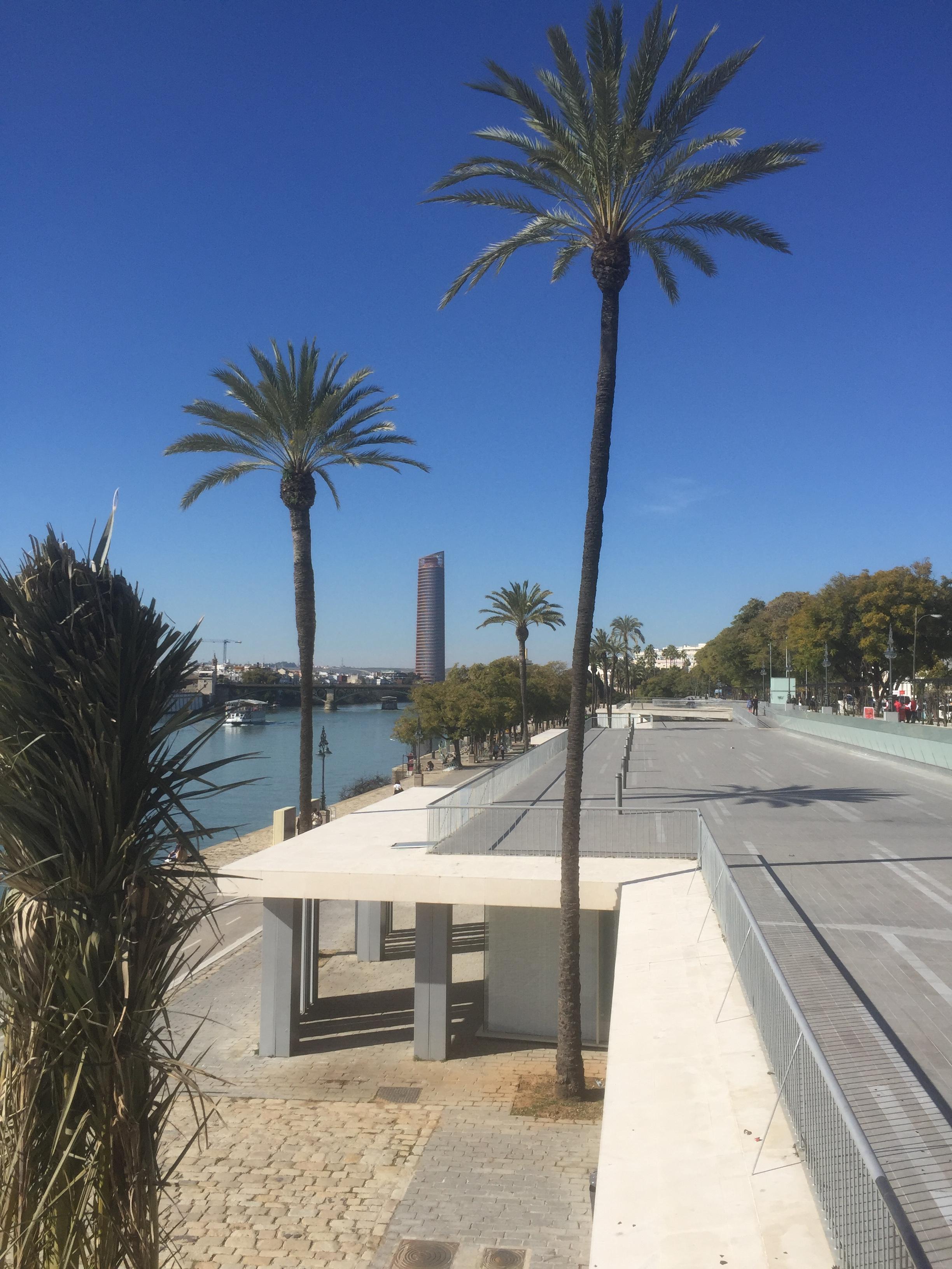 Le Guadalquivir se jette dans l'Océan Atlantique à l'ouest de Gibraltar.