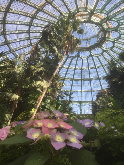 Serres  Royales de Laeken