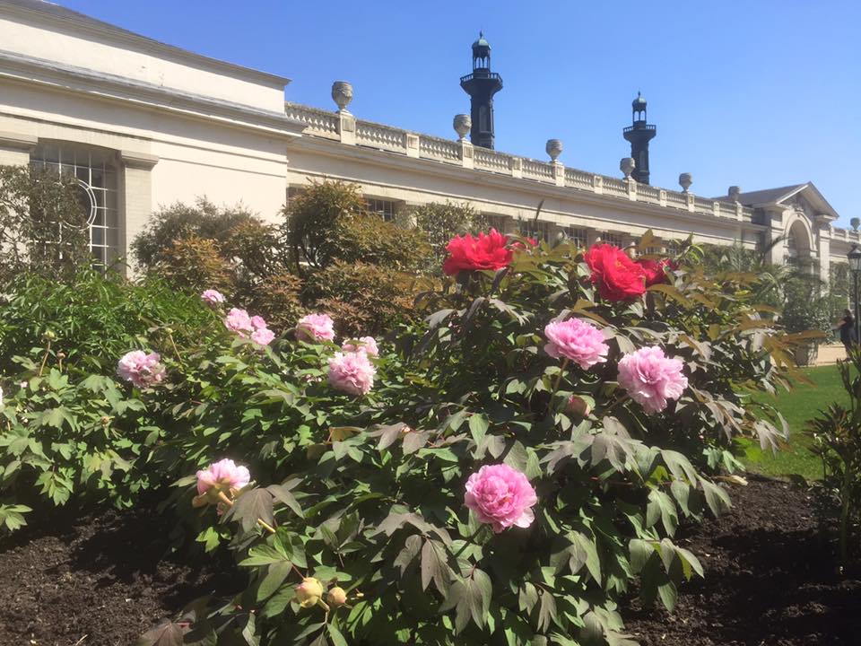 Serres Royales de laeken