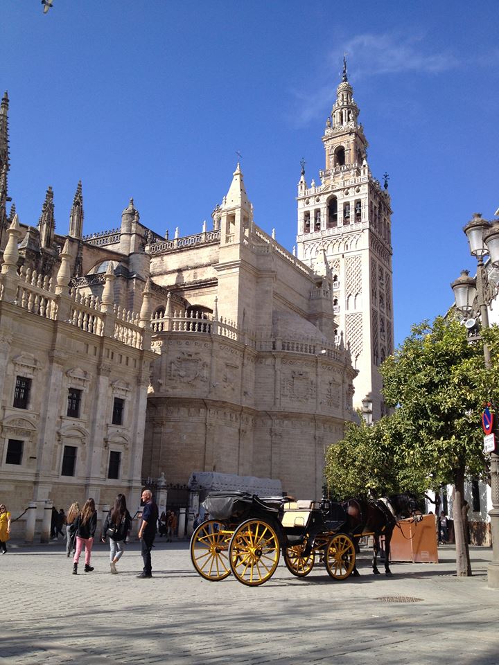 Catedral de Santa Maria de la Sede