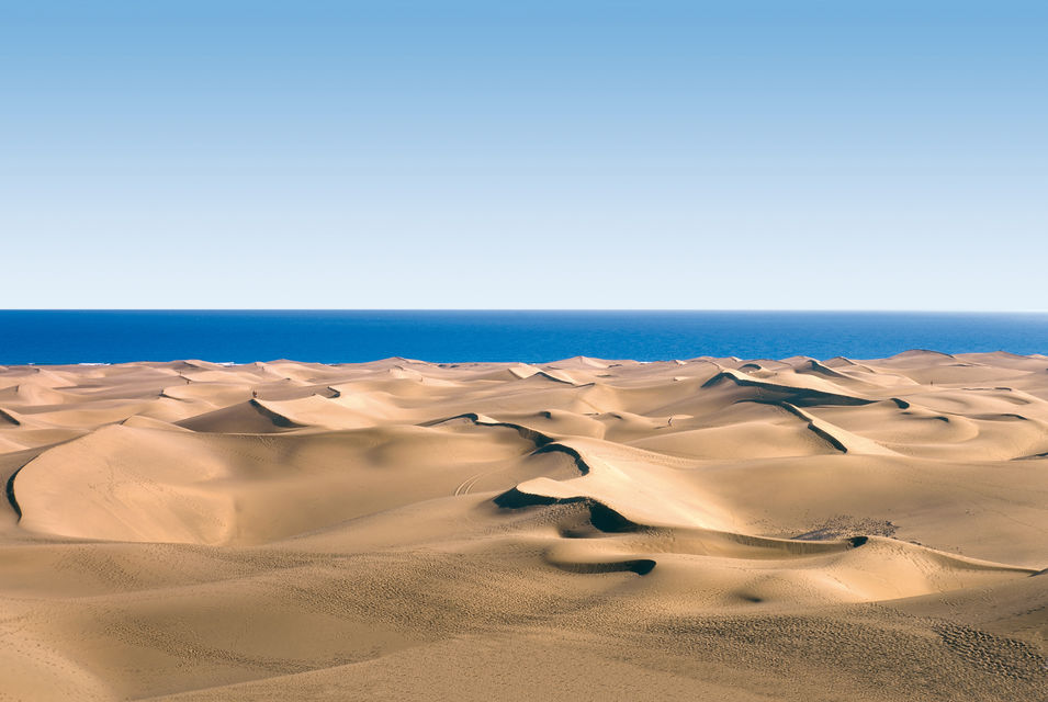Canaria 1