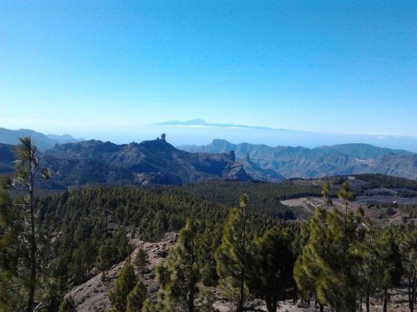 Canaria 2