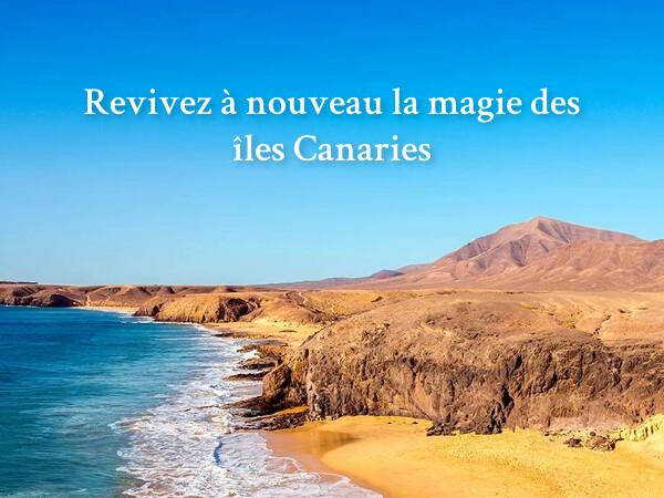 Canarie melia