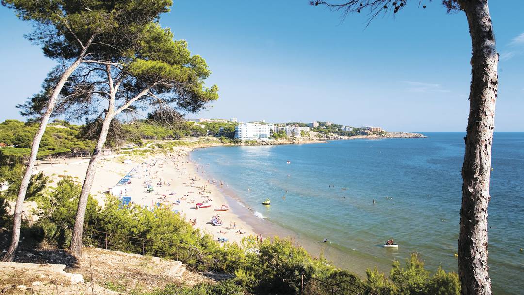 Costa dor