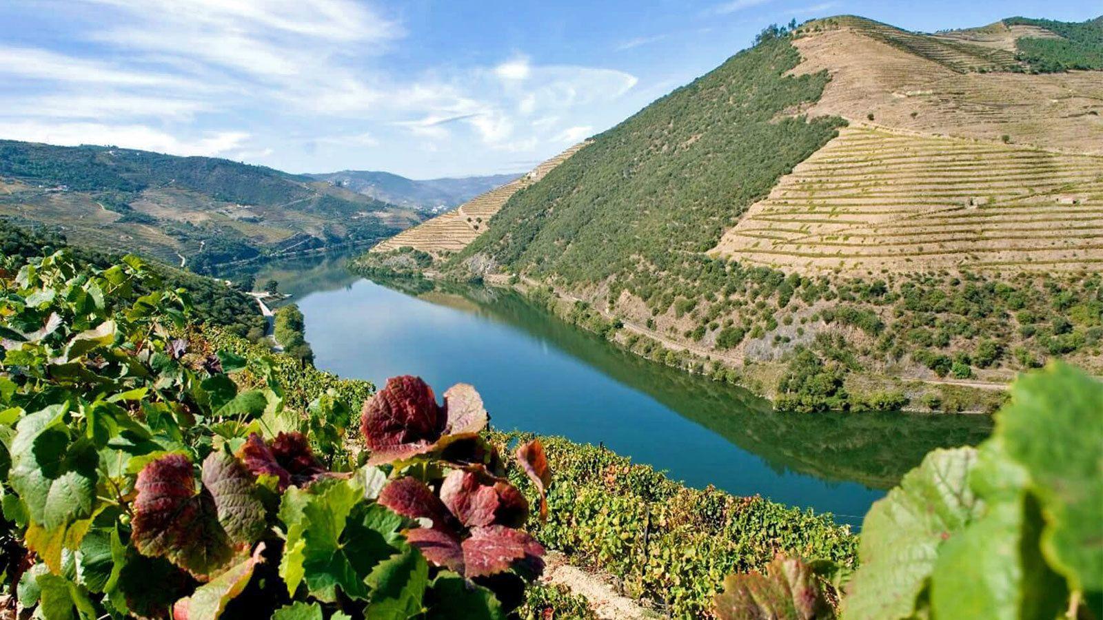 Douro