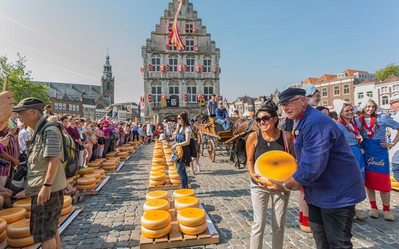 Gouda