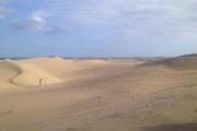 De quelle île des Canaries provient cette photo de dunes ?