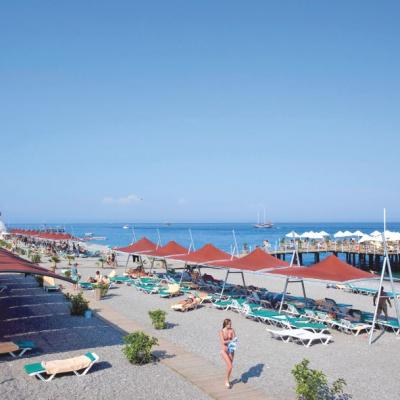Limak 3