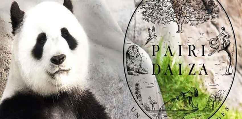 Pairi daiza panda