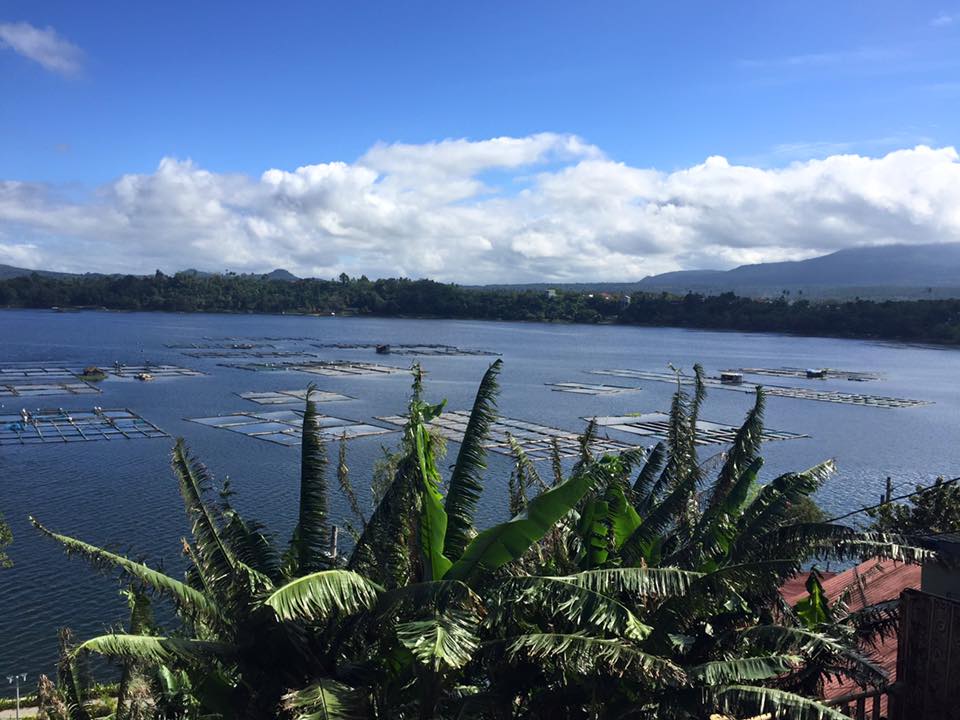 Sampaloc27459327 10213598190540493 6415226082190134439 n